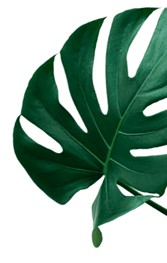 Leaf Right